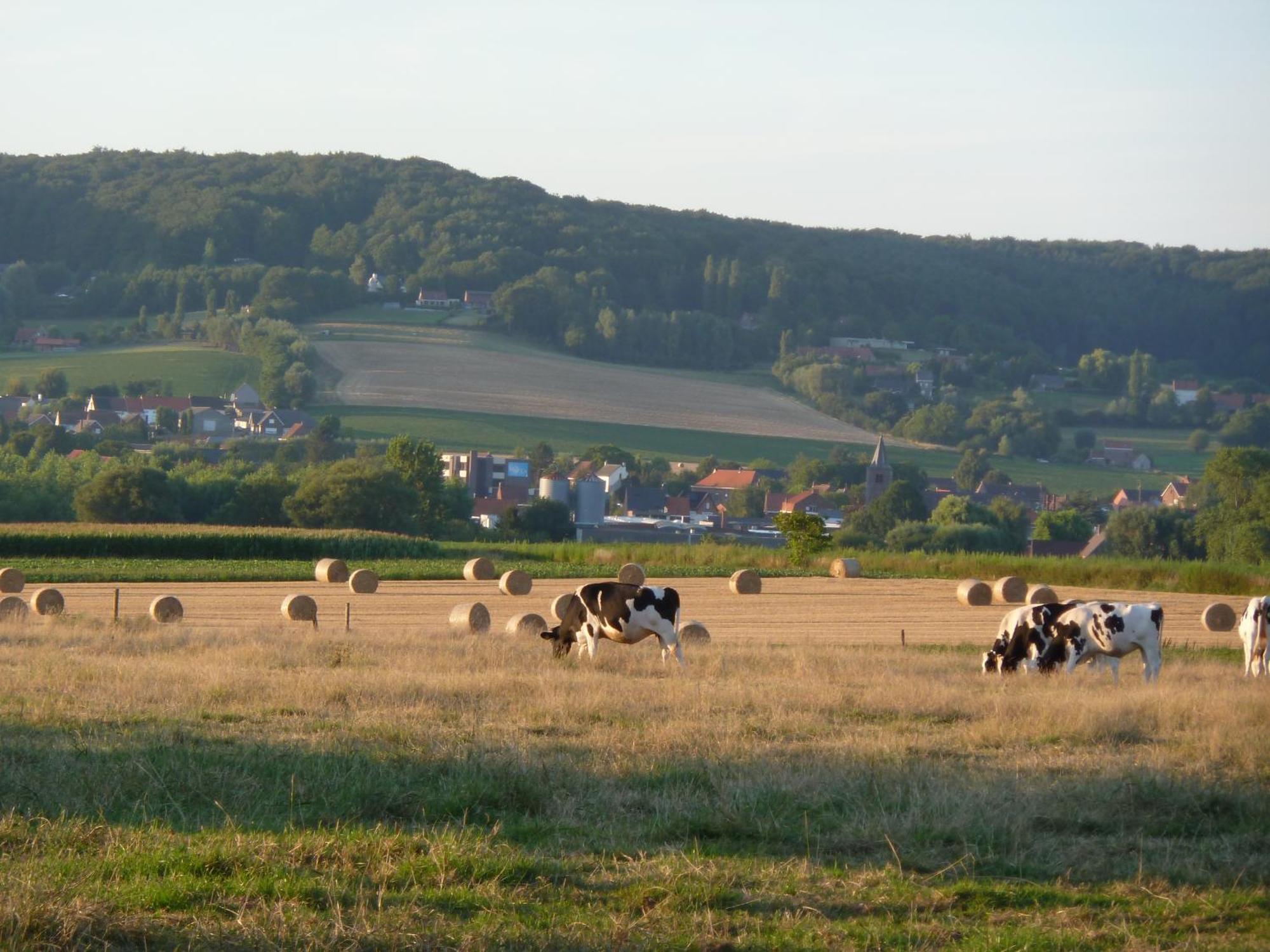 B&B Entre monts et collines Extérieur photo